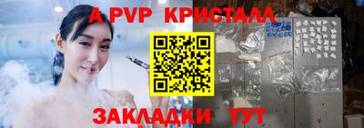 стафф Лесосибирск