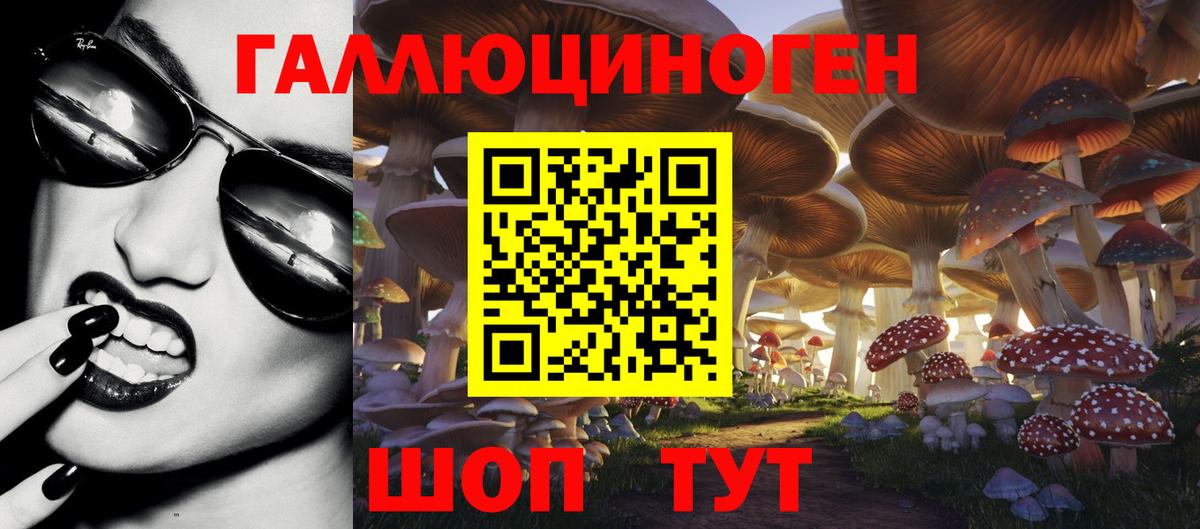 Галлюциногенные грибы Psilocybe  продажа наркотиков  Вход с VPN  Дивногорск  Галлюциногенные грибы прущие грибы 